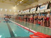 239 pływackich medali przyznano dzieciom w Kolnie